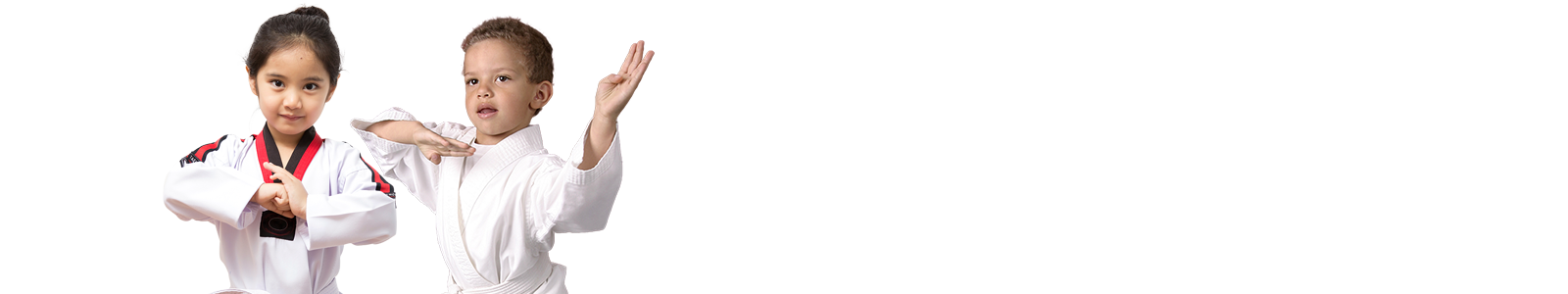 slider-martial-arts-tiny-tiger